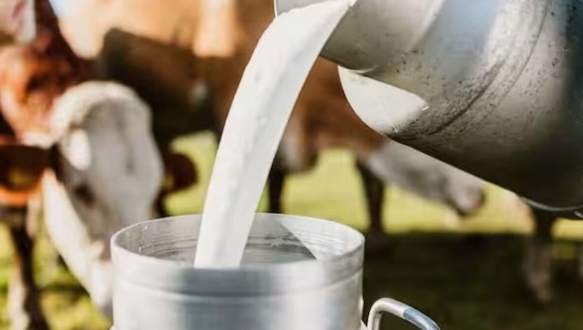Milk Price Hike